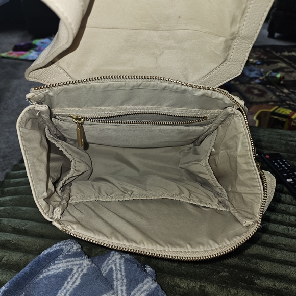 Freshly Picked Mini Birch - Picture 7 of 7